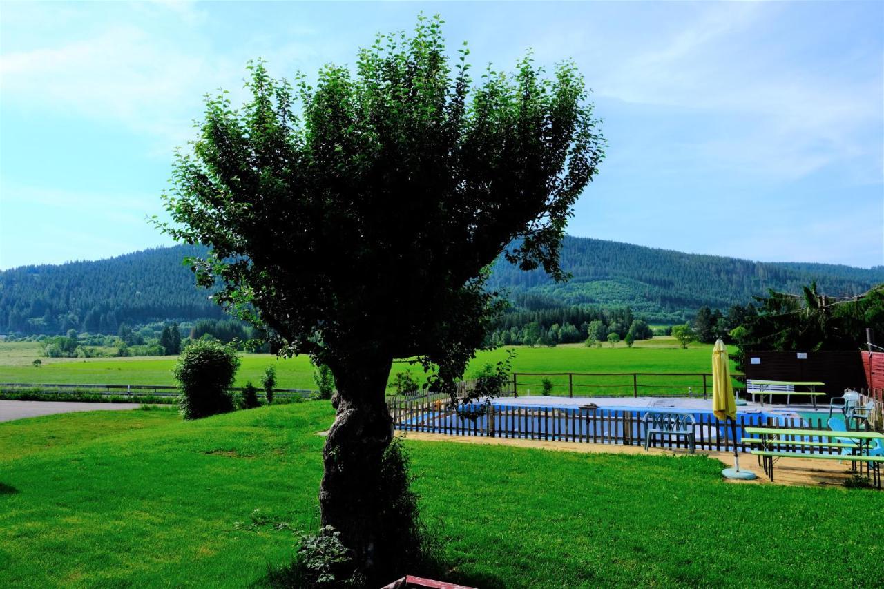 B Und B Titisee Hotel Sonnenmatte Nahe Badeparadies Екстериор снимка